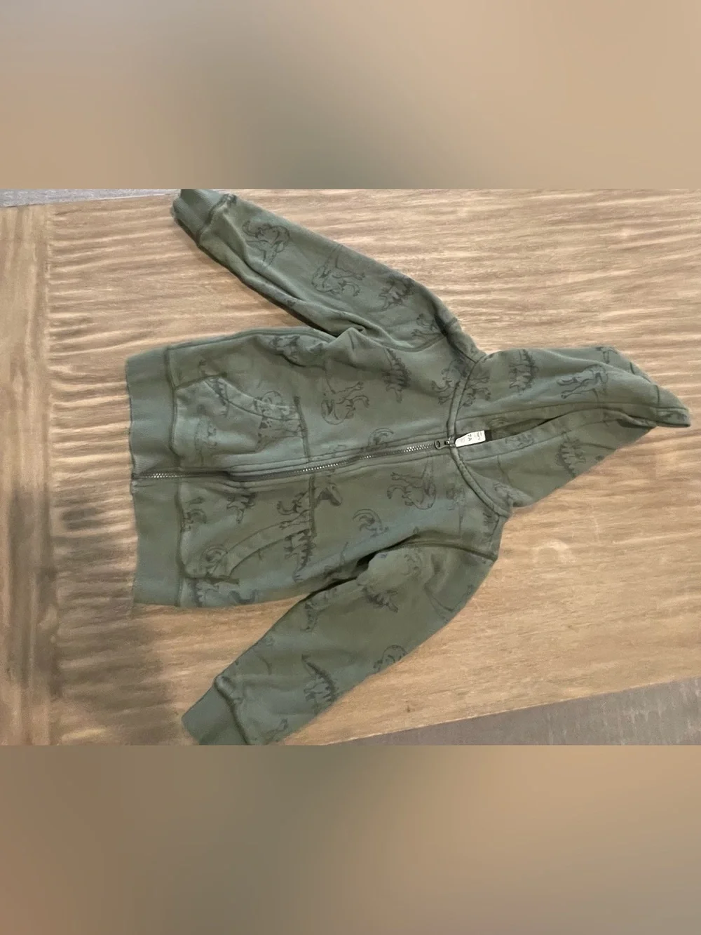 Carter's Green Dino Print Zip Hoodie